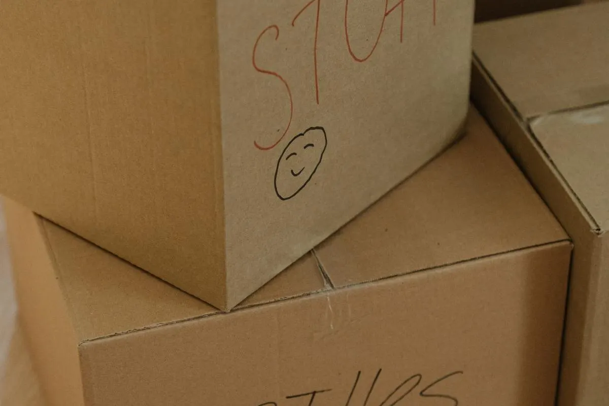 Cartons and packing material prepared for a one-day local move